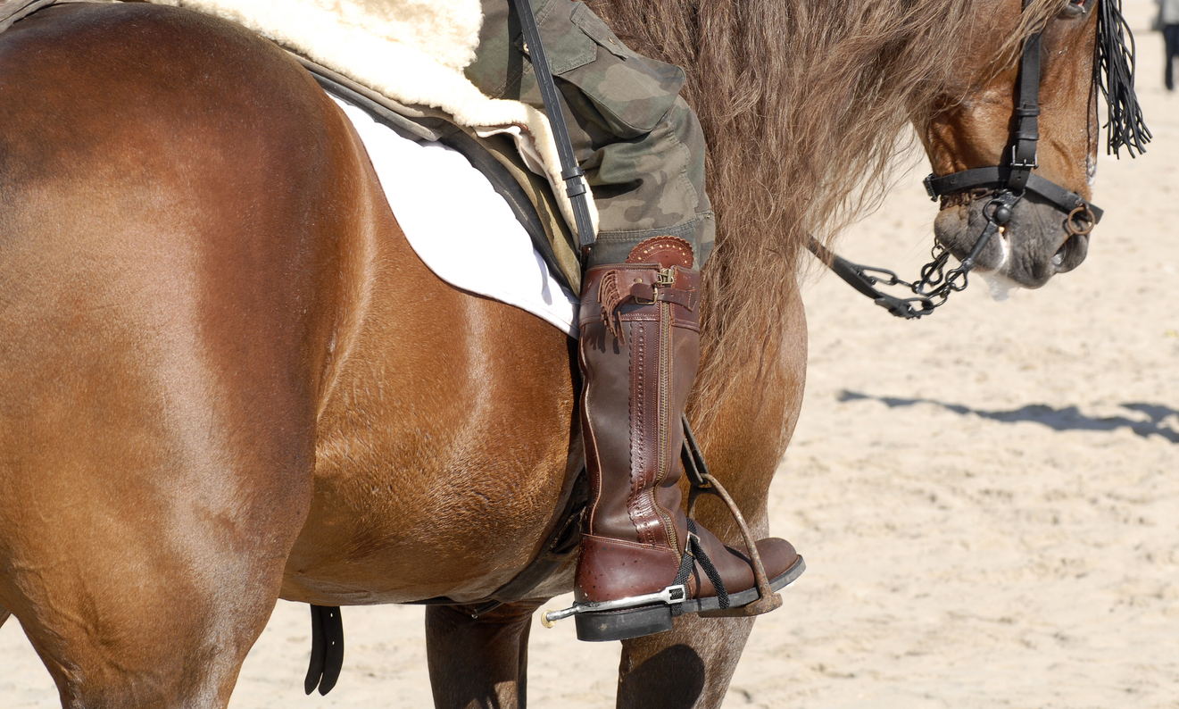 Therapeutic horsemanship of ridgecrest operation family fund