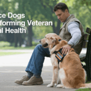 How Service Dogs Are Transforming Veteran Mental Health